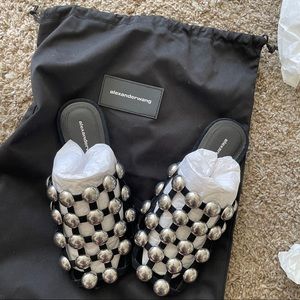 Alexander Wang
Amelia mules